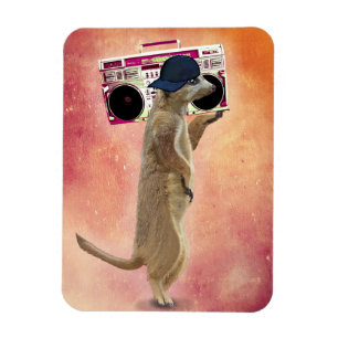 Meerkat und Ghettoblaster Magnet