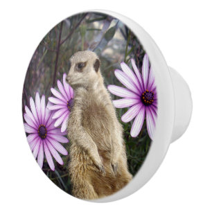 Meerkat und Milchprodukte, Keramikknauf
