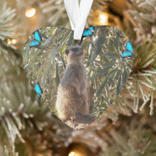 Meerkat und Schmetterlinge, Ornament