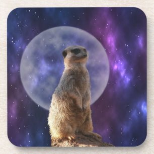 Meerkat und Vollmond Getränkeuntersetzer