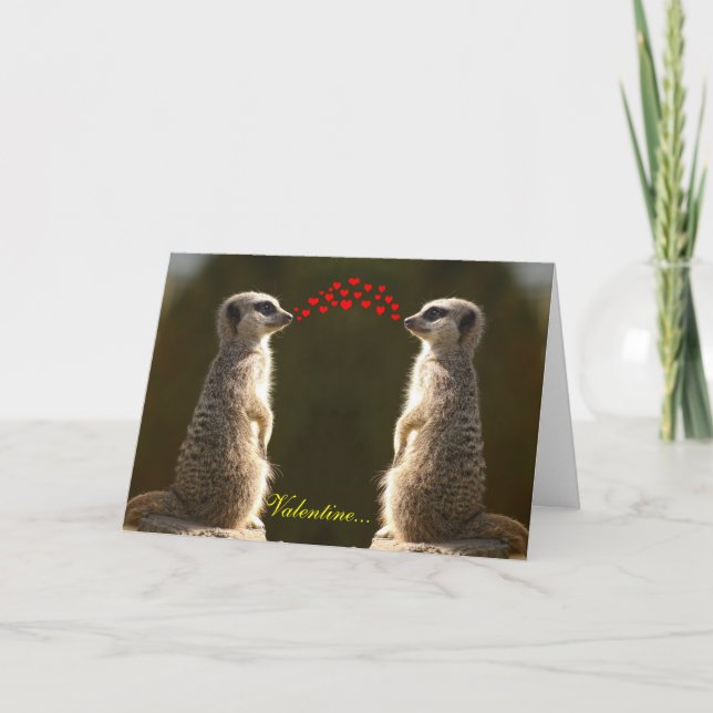Meerkat Valentine Card 003 Feiertagskarte (Vorderseite)