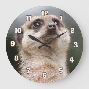 Meerkat Wall Clock Große Wanduhr