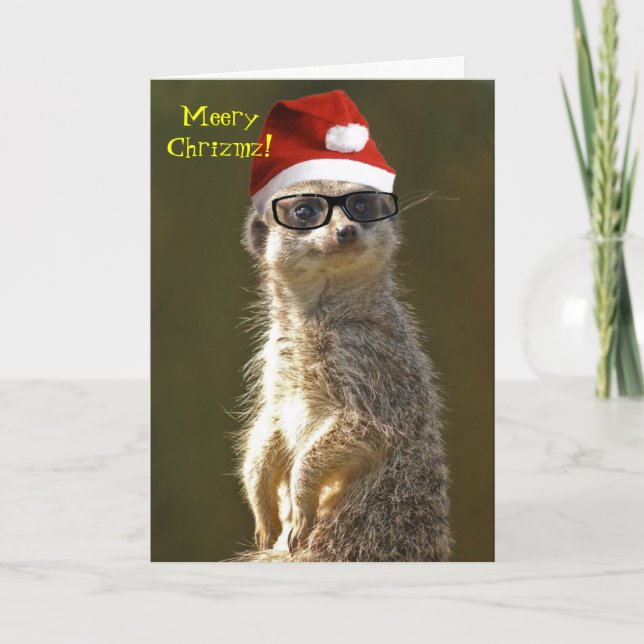 Meerkat Weihnachtskarte Feiertagskarte (Vorderseite)