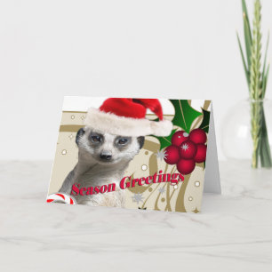 Meerkat Weihnachtskarten Feiertagskarte