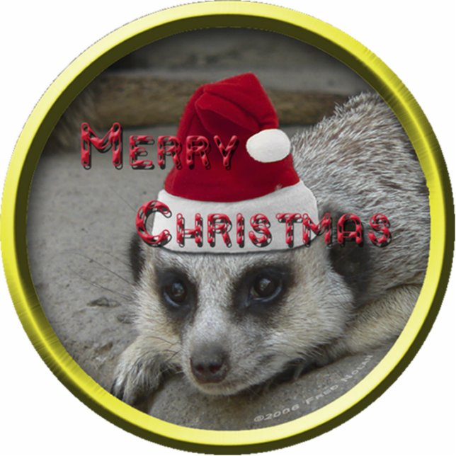 Meerkat Weihnachtsverzierung Fotoskulptur Ornament (Vorne)