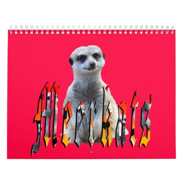 Meerkat With Style USA Holidays 2019, Kalender (Titelbild)