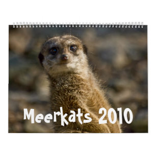 Meerkats 2010 Kalender