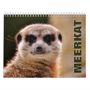 Meerkats 2022 Wall Calendar Kalender
