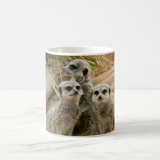 Meerkats auf dem Ausblick Kaffeetasse (Mittel)