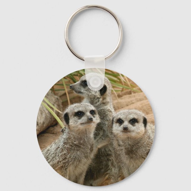 Meerkats auf der Suche Schlüsselanhänger (Vorderseite)