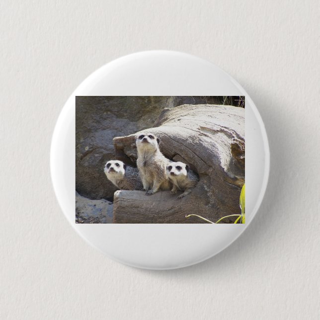 Meerkats Button (Vorderseite)