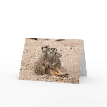 Meerkats dans une carte de voeux de petit groupe