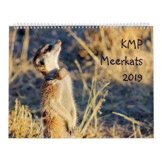 Meerkats de KMP - calendrier 2019