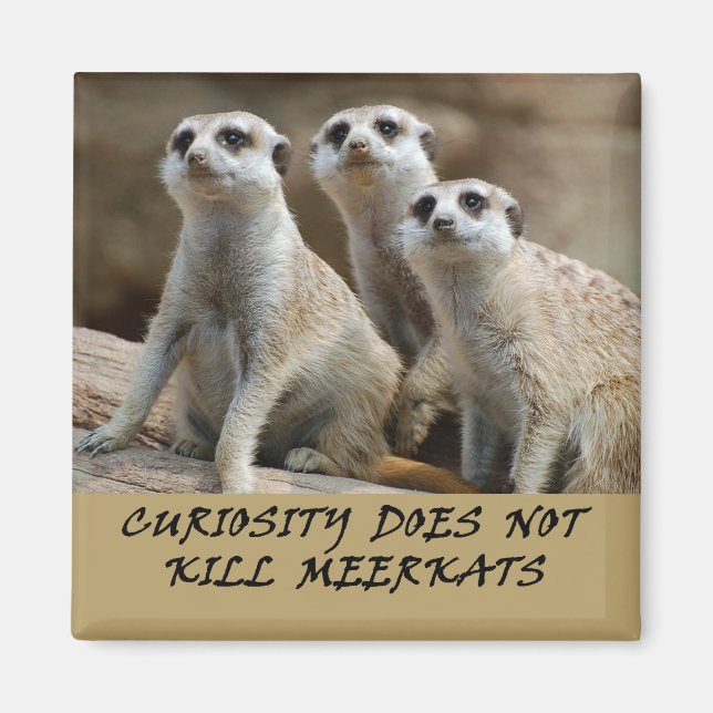 Meerkats Kühlschrankmagnet (Vorne)