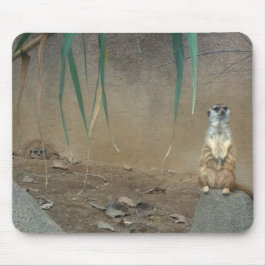 Meerkats Mousepad