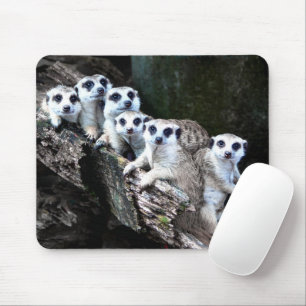 Meerkats Mousepad