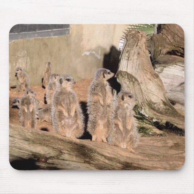 Meerkats Mousepad (Vorne)