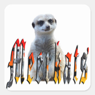 "Meerkats: Stehend stolz hinter dem Namen" Quadratischer Aufkleber