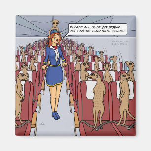 Meerkats sur un aimant de plan