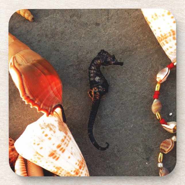 Meerpferd Getränkeuntersetzer (Vorderseite)