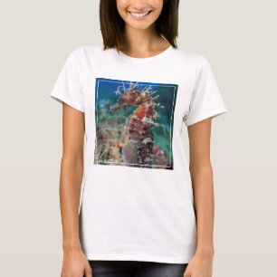 Meerpferd   Hippocampus Ramulosus T-Shirt