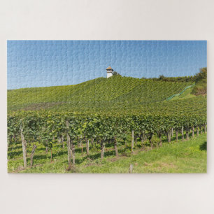 Meersburg Weinberge