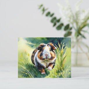 Meerschweinchen auf Gras Haustierliebhaber Cavy Aq Postkarte