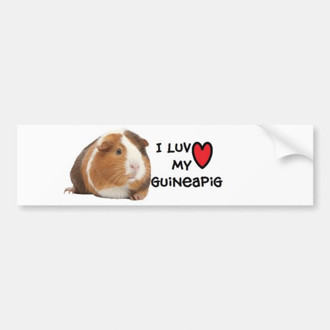 Meerschweinchen-Autoaufkleber " ich Liebe mein Autoaufkleber (Vorne)