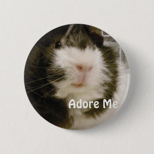 Meerschweinchen Button