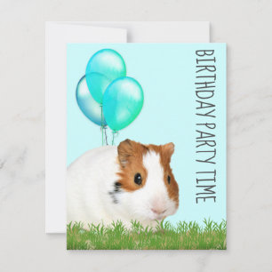 Meerschweinchen Grüne Blaue Ballons Benutzerdefini Einladung
