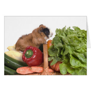 Meerschweinchen in einem Korb des Gemüses