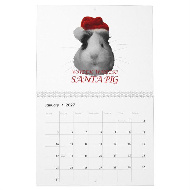 Meerschweinchen-Kalender 2014 Kalender (Jan 2027)