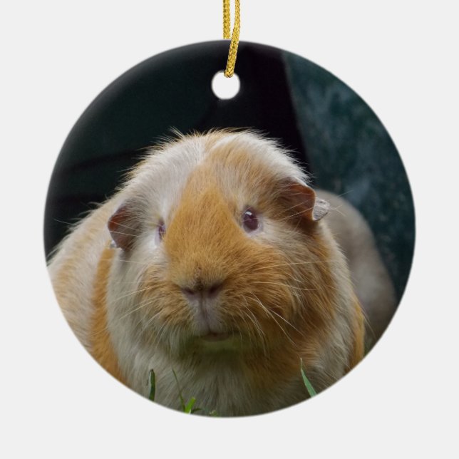 Meerschweinchen Keramikornament (Vorne)