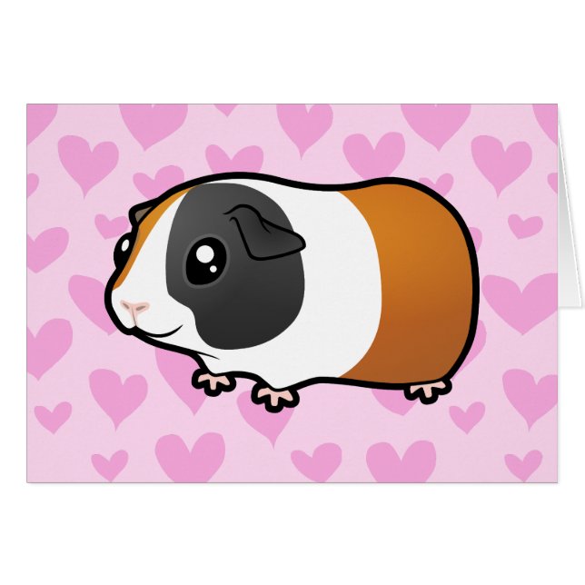 Meerschweinchen-Liebe (glattes Haar) (Vorderseite (Horizontal))