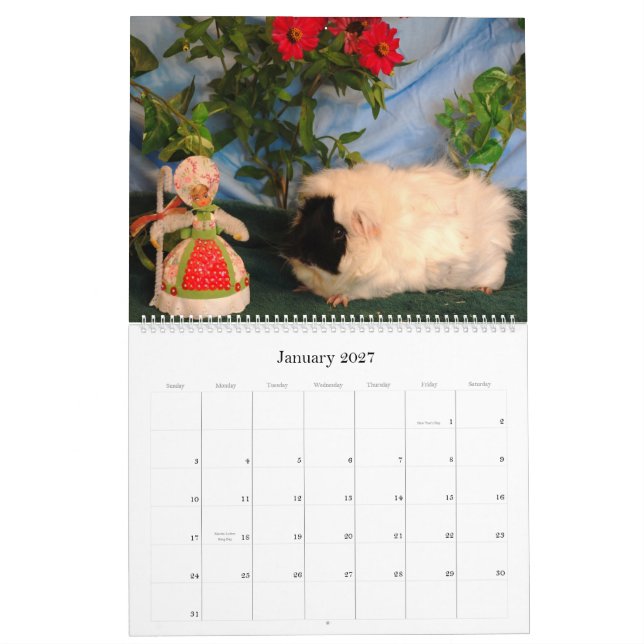 Meerschweinchen-Liebe-Kalender 2010 Kalender (Jan 2027)
