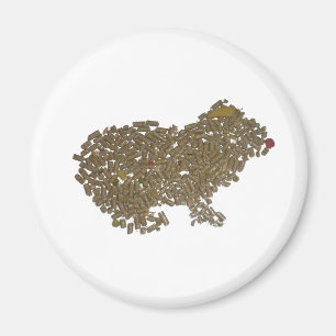 Meerschweinchen Magnet