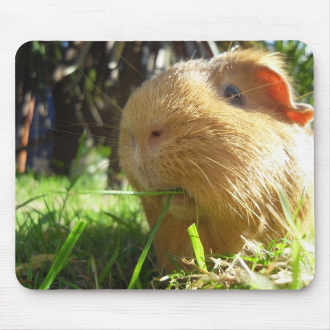 Meerschweinchen Maus-Auflage Mousepad (Vorne)