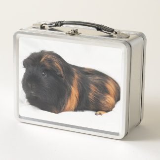 Meerschweinchen Metall Brotdose