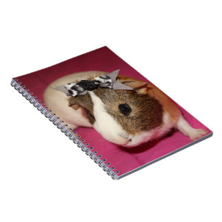 Meerschweinchen mit Bogen 2 Notizblock