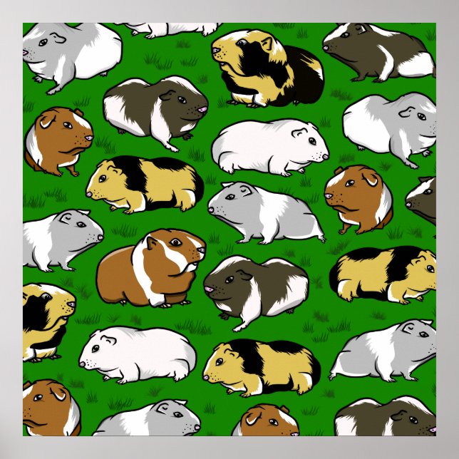 Meerschweinchen-Muster Poster (Vorne)