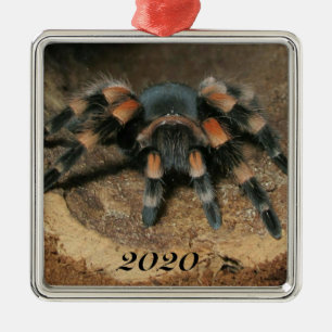 Meerschweinchen Ornament Aus Metall