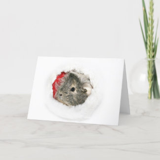 Meerschweinchen Sankt Feiertagskarte