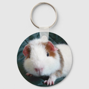 Meerschweinchen Schlüsselanhänger