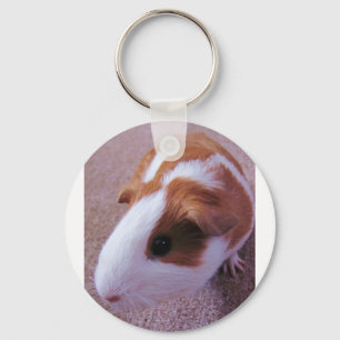 Meerschweinchen-Schlüsselanhänger Schlüsselanhänger
