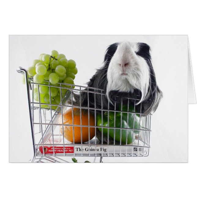 Meerschweinchen shopping spree (Vorderseite (Horizontal))