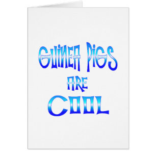 Meerschweinchen sind cool