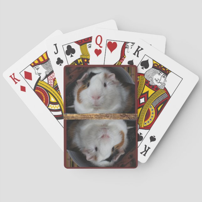 Meerschweinchen Spielkarten (Rückseite)