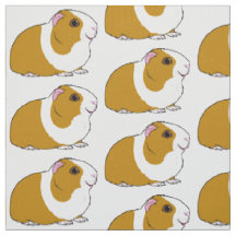 Meerschweinchen