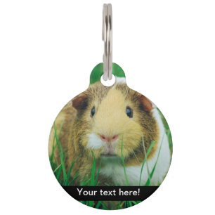Meerschweinchen Tiernamensmarke