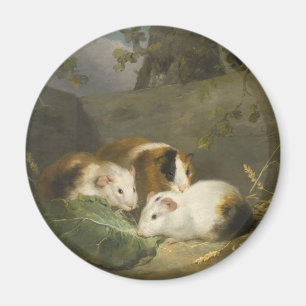 Meerschweinchen (von George Morland) Magnet